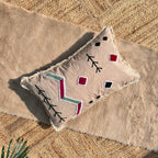 Cotton Embroidered Cushion Cover, 30cm X 50cm (12" X 20")