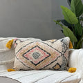 Lumbar Cover