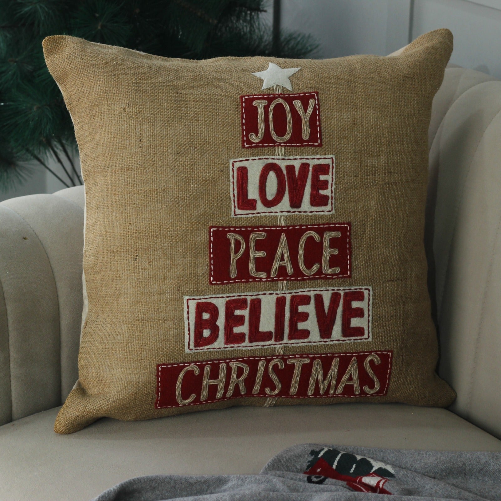 Embroidered Cushion Cover